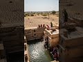 भारत की प्राचीन बावड़ियों का रहस्य  | कैसे ये Stepwells सूखे में भी पानी बचाती थीं?#shorts#ytshorts
