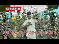 खीरा ki खेती से एक दिन में 30,000 की कमाई 💰#polyhouse #farming #agriculture 