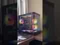 Alugar PC Gamer e Piada kkkk