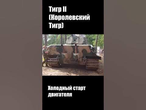 Как рычит Тигр - YouTube