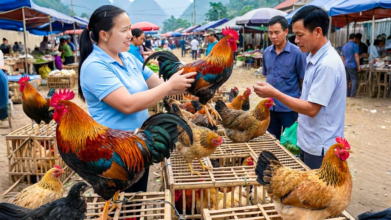 竹でかご作り🎋放し飼いの鶏と長豆を収穫し市場へ🛒