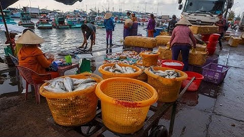Phú Quốc | Cảng An Thới, Đầu Mối Hải Sản Lớn Và Sầm Uất Nhất