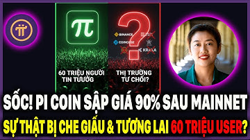 Toàn Cảnh Pi Network Sau Mainnet : Sập Giá 90% Sau Mainnet - Sự Thật Bị Che Giấu ?