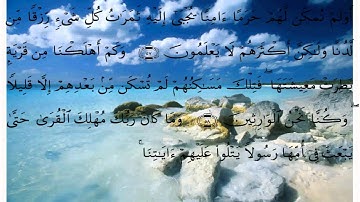 سورة القصص * بصوت علي الحذيفي