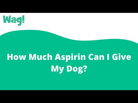 How Much Aspirin Can I Give My Dog? | Wag!