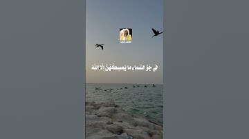 ﴿ألم يروا إلى الطير مسخرات في جو السماء ما يمسكهن إلا الله) | النحل ٧٩ | القارئ محمد ايوب