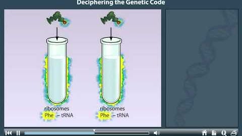 The genetic code animation