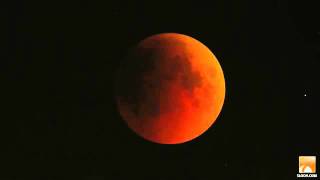 SLOOH Lunar Eclipse 2011 Blood Moon