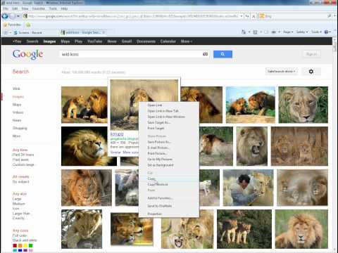 How to Copy and Paste Pictures from Google