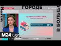 "Жизнь в большом городе": "удаленная работа" - Москва 24