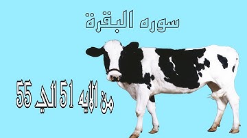 سوره البقرة | مصغرة | من الايه 51 حتى الايه 55