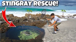 RESCUING Trapped STINGRAY For My POND!! *Epic*