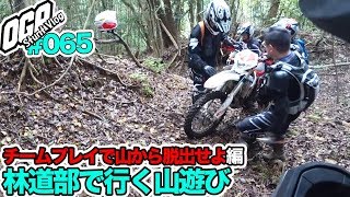【モトブログ】林道部で行く山遊び 午後編【MotoVlog #065】セロー