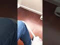 simple trim bending list cover without tools #shorts #instalation #tools