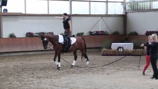 Epe II in Ottenstein • Sept. 2013 • Galopp-Schritt