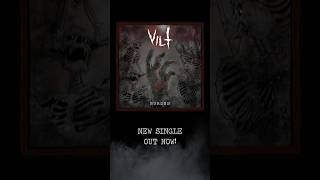 NEW MUSIC FROM VILT