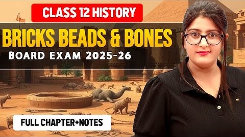 Bricks beads and bones class 12