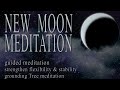 NEW MOON Meditation May 2021 guided TAURUS for inner peace stability tree meditation