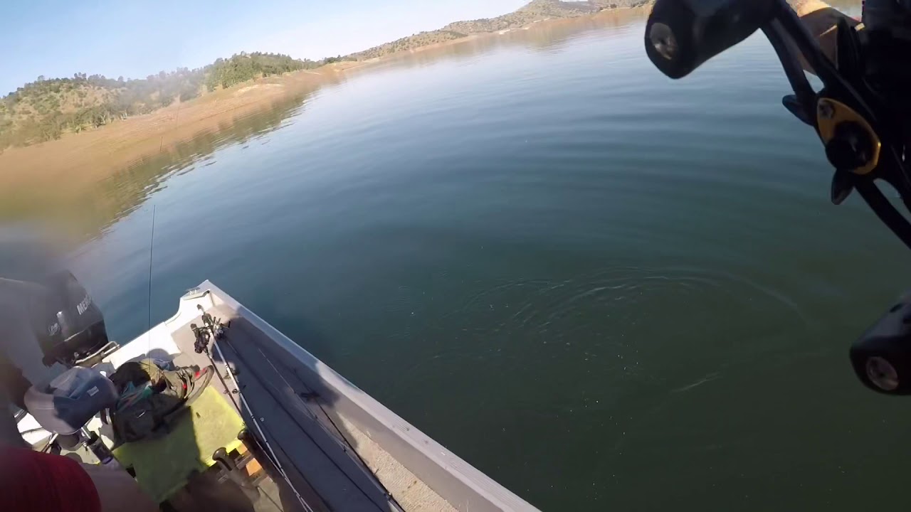Topwater at Lake McClure YouTube