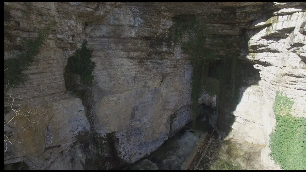 chauve-souris grotte datant