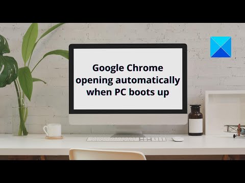 Google Chrome opening