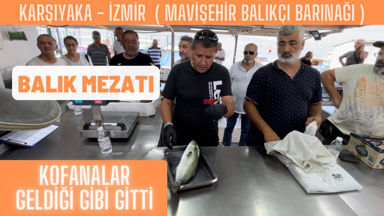Levrekler Çipuradan fazla talep aldı bu sabah 04.06.2024 #balık #mezat #balıkmezatı
