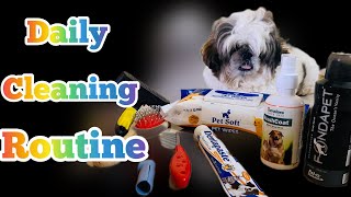 Shihtzu daily cleaning & grooming routine at home l Shihtzu puppy