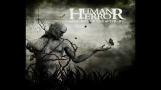 Human Error - Lifetime By Design (Subtitulado Latino)