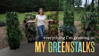 What can you grow in a GreenStalk? Take a Peek at My Spring & Summer Vegetables, Herbs and Fruit