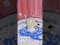 Bathtime Dive #rockosmodernlife