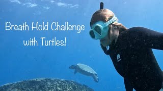 Breath Hold Challenge with Turtles! 🐢