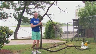 Storms Cause Widespread Damage In Mass.