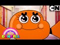 De encuentros y enredos | El Increíble Mundo de Gumball en Español Latino | Cartoon Network
