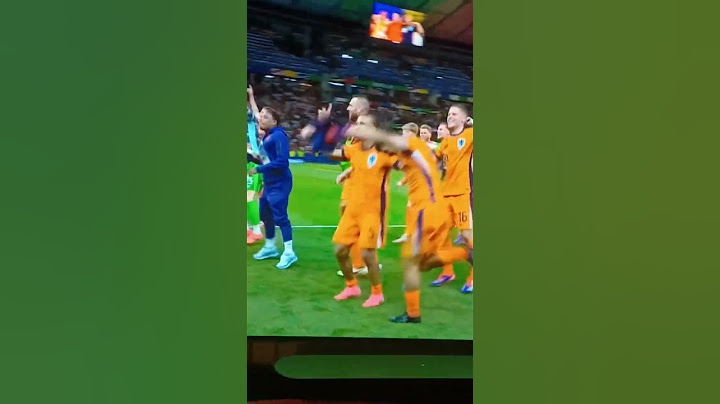 het dansje van nederland turkije#ek #turkije #dutch #nederlands #realdutch #kwartfinale #comeback