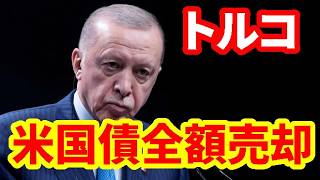 【トルコ経済】米国債を全部売却！トルコリラ相場が不安定化！為替介入を継続！
