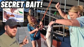 Using Live GOLDFISH To Catch Catfish On Rod and Reel!