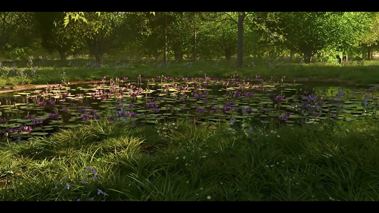 Lily Pond (Nature CGI)