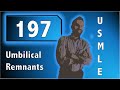 Umbilical remnants 200 highest yield topic countdown usmle step 1