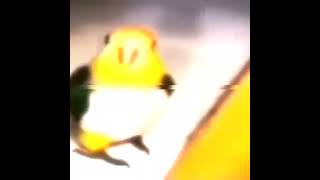 Montagem Tem Que Tirar O Chapéu Sped Up Tiktok Version Glitch Bug Version