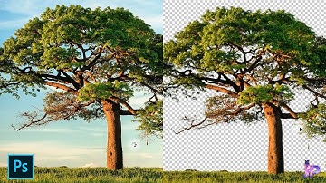 How to Remove Background with Alpha Channel in Photoshop | Jp Studio