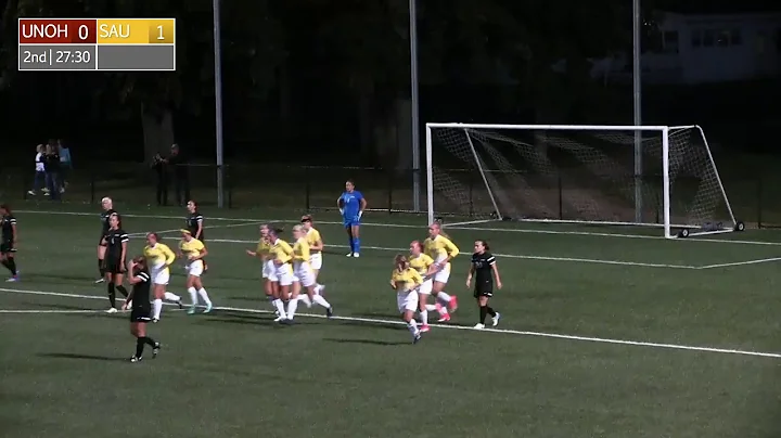 No. 2 Spring Arbor vs. No. 1 Northwestern Ohio - M...