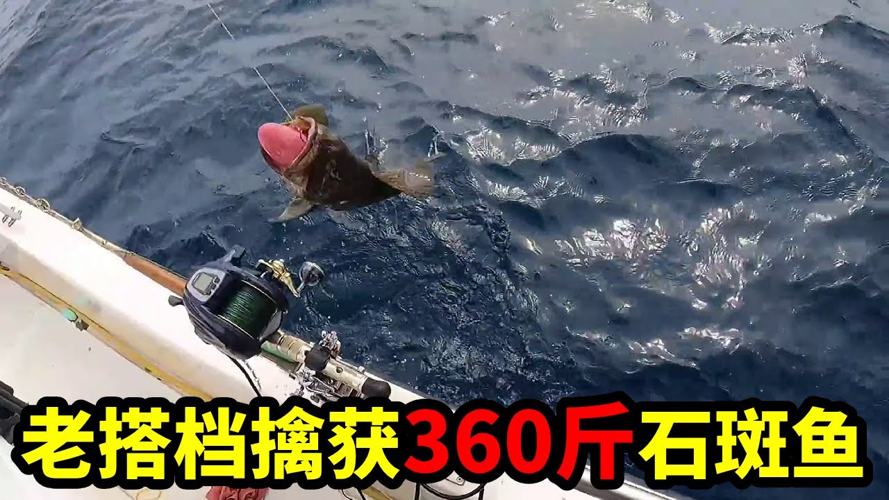 連續作戰的第四天，攜手老搭檔，再次擒獲超大石斑魚 #深海釣魚 #石斑魚 #原來釣魚才是抖音運動頂流