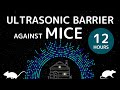 Ultrasonic Barrier Against Mice Sleep Easy All Night 12 Hours