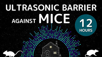 [12h] Ultrasonic Barrier against Mice – Sleep Easy All Night