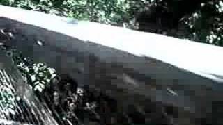 Kickapoo Creek Bridge