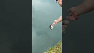 Catch And Release Fishing - The HOW TO Basics! #shorts #fishing