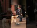 駅で十年待ち続けた犬 #柴犬 #映画 #shorts #foryou #movie