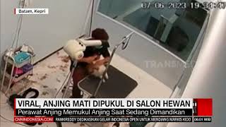 VIRAL, ANJING MATI DIPUKUL DI SALON HEWAN | REDAKSI PAGI (23/06/23)