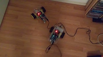 Two Nematoduino Robots