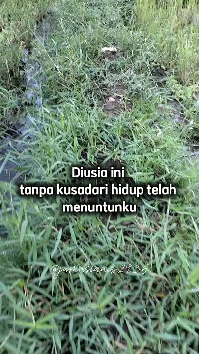 Perjalanan batin yang sunyi #duet #cover #coversong #shortvideo #quotes #motivasi #catatanmotivasi